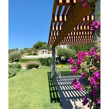 La Casa Di Alice Olbia